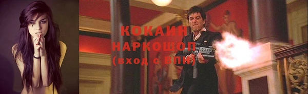мяу мяу мука Белокуриха